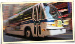 Bus