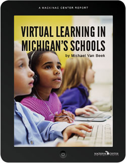 Virtual Learning cover