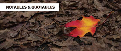 Notables and Quotables - click to enlarge Notables and Quotables - click to enlarge