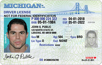 license michigan drivers state date