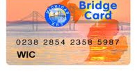 Gambling With Welfare Money Investigation Finds 87k From Bridge Cards Spent In Casino Michigan Capitol Confidential