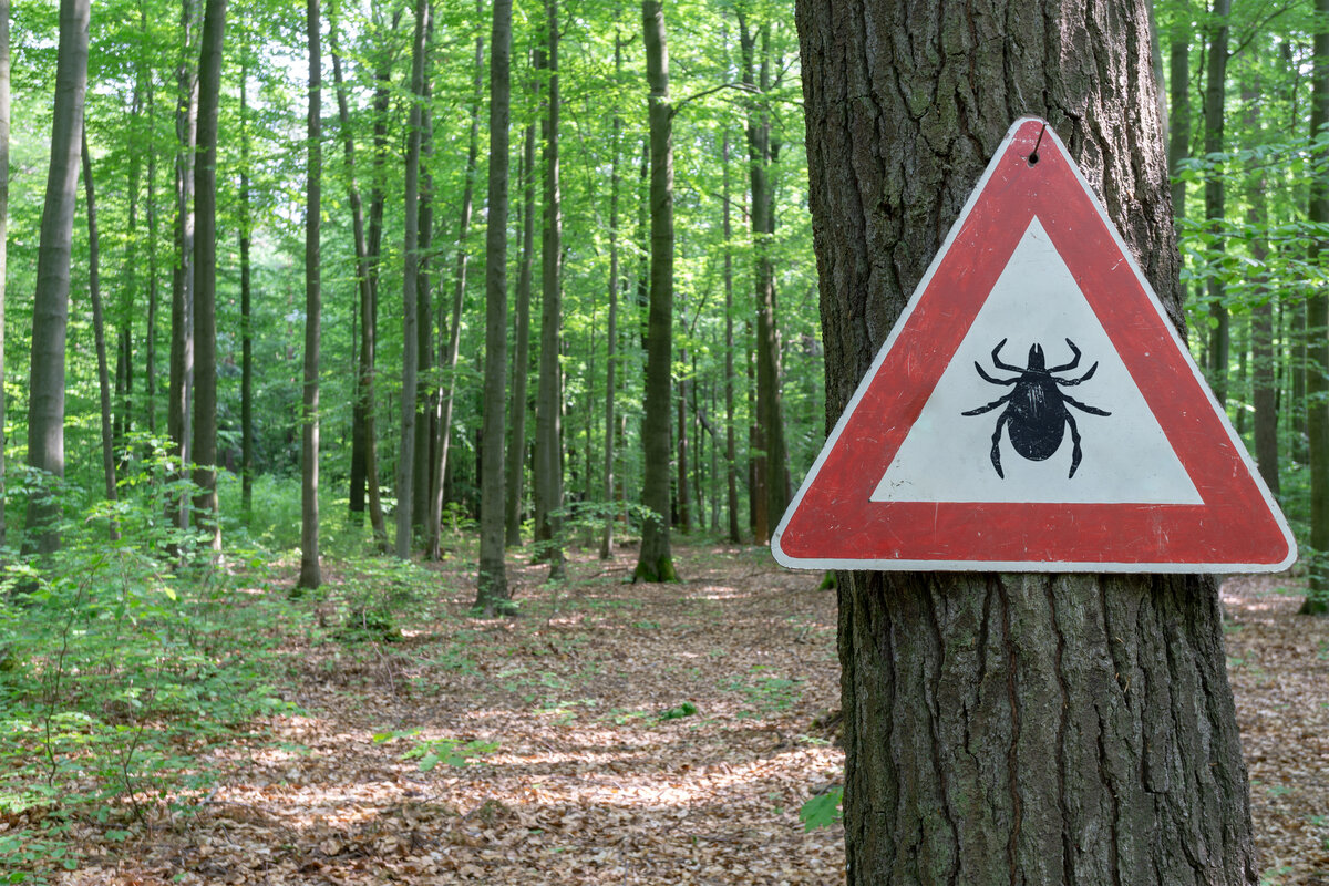Michigan medical school suggests using tickborne disease to curb meat eating