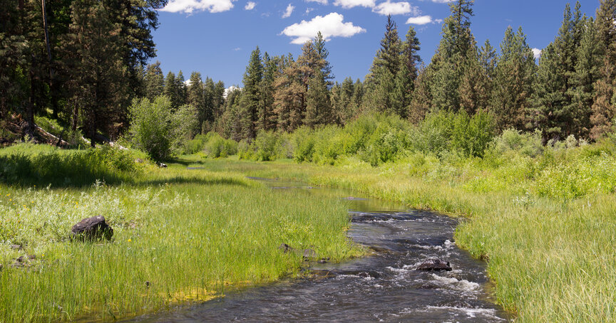 SCOTUS case could bring uncertainty to Michigan water rights – Michigan ...